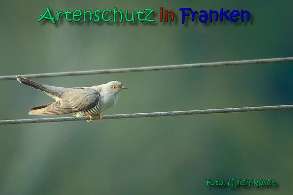 Bild zum Eintrag (1141802-160)