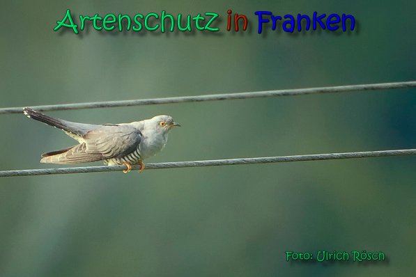 Bild zum Eintrag (1141803-160)