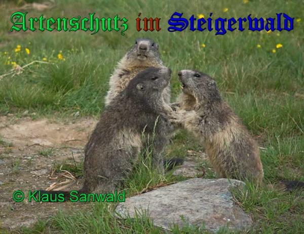 Bild zum Eintrag (1141963-160)