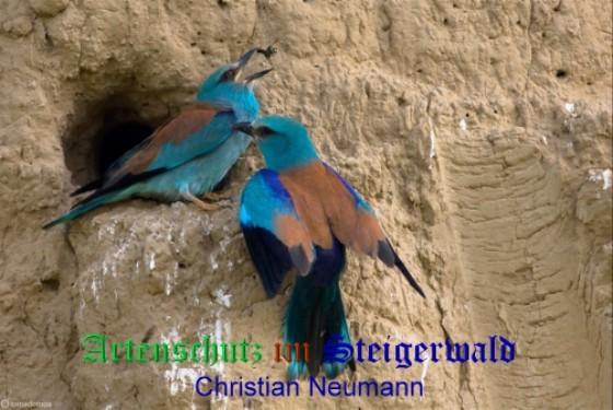 Bild zum Eintrag (1142132-160)