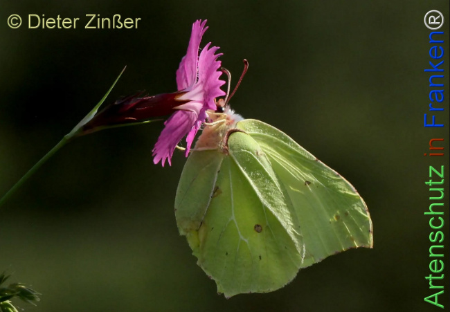 Bild zum Eintrag (1142384-160)