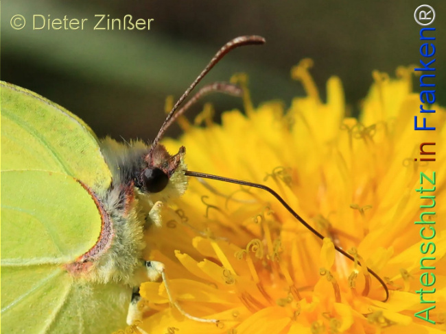 Bild zum Eintrag (1142390-160)