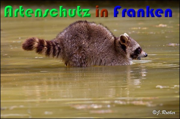 Bild zum Eintrag (1142611-160)