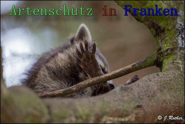 Bild zum Eintrag (1142618-160)