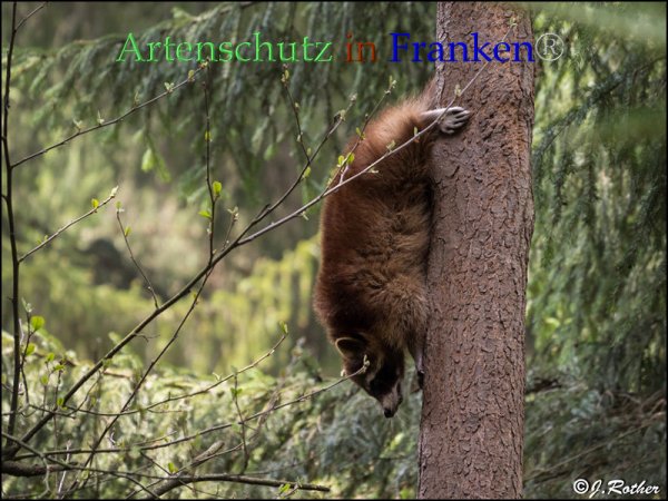 Bild zum Eintrag (1142630-160)