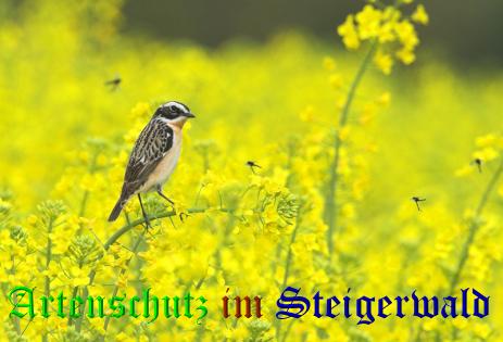 Bild zum Eintrag (1142877-160)