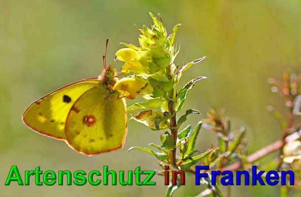Bild zum Eintrag (1143662-160)