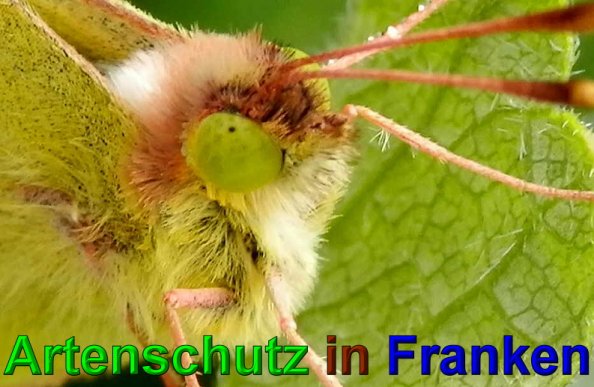 Bild zum Eintrag (1143666-160)