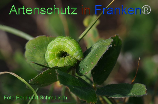 Bild zum Eintrag (1143677-160)