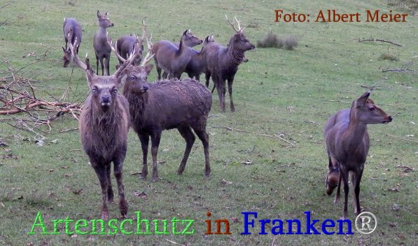 Bild zum Eintrag (1143759-160)
