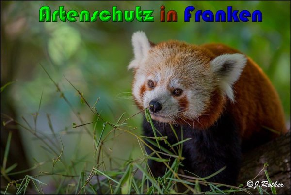 Bild zum Eintrag (1143881-160)