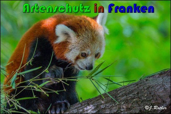 Bild zum Eintrag (1143882-160)