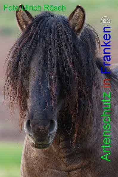 Bild zum Eintrag (1143891-160)