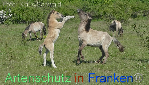 Bild zum Eintrag (1143892-160)