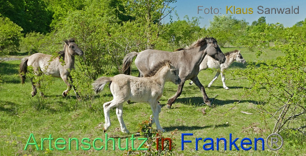 Bild zum Eintrag (1143893-160)