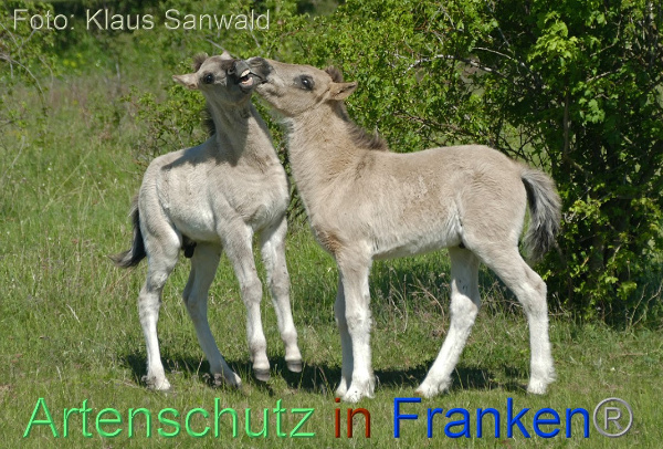 Bild zum Eintrag (1143894-160)