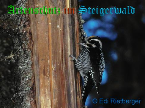 Bild zum Eintrag (1143952-160)