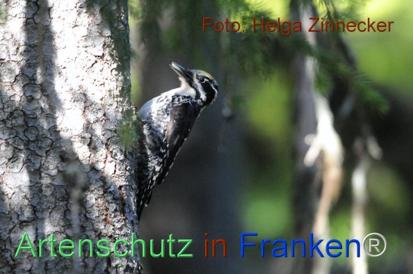 Bild zum Eintrag (1143961-160)