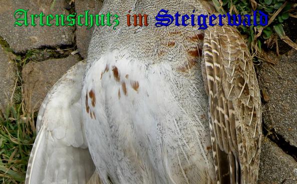 Bild zum Eintrag (1144006-160)