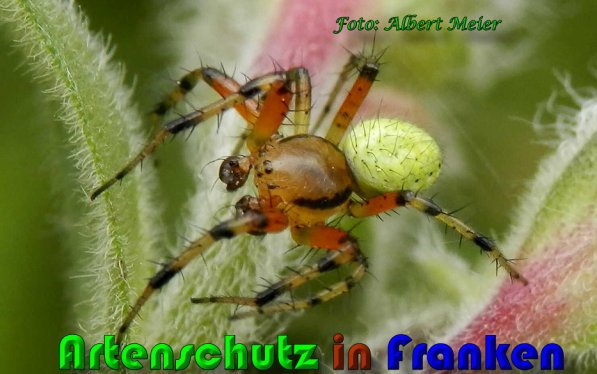 Bild zum Eintrag (1144238-160)