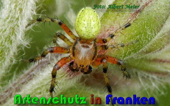 Bild zum Eintrag (1144239-160)