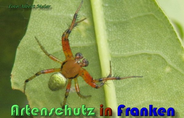 Bild zum Eintrag (1144241-160)