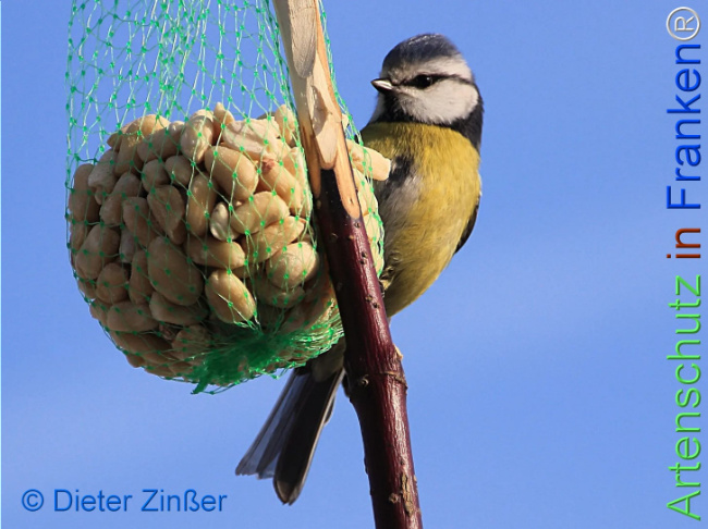 Bild zum Eintrag (1144577-160)