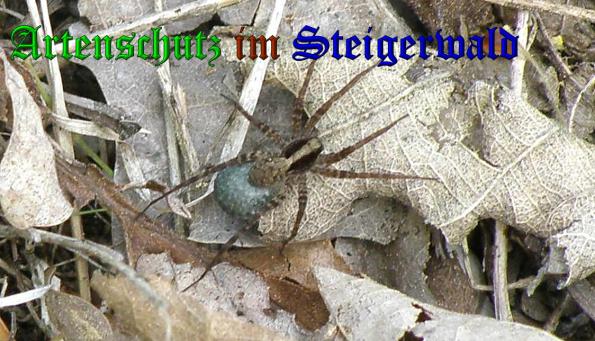 Bild zum Eintrag (1145818-160)