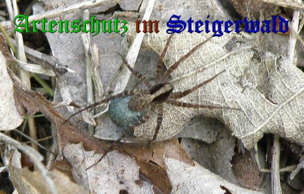 Bild zum Eintrag (1145819-160)