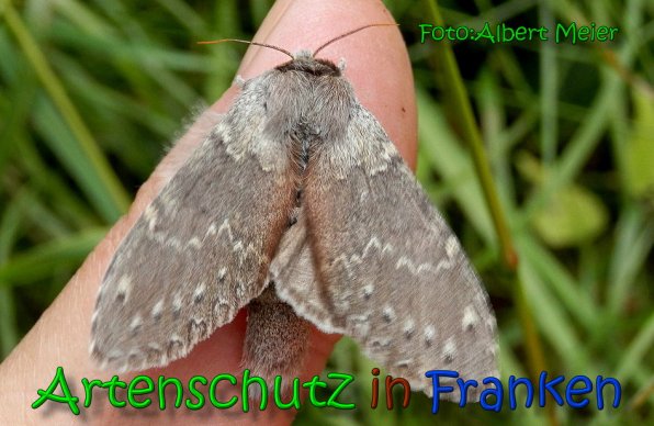 Bild zum Eintrag (1145898-160)