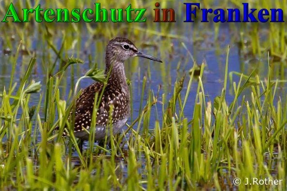 Bild zum Eintrag (1145985-160)
