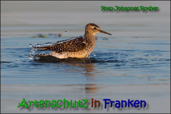 Bild zum Eintrag (1145987-160)