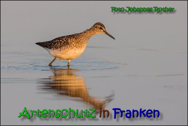 Bild zum Eintrag (1145996-160)