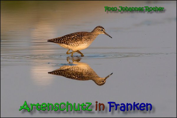 Bild zum Eintrag (1145998-160)
