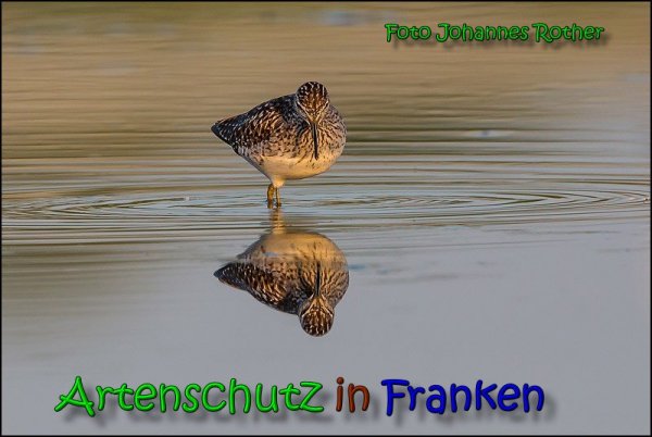 Bild zum Eintrag (1145999-160)