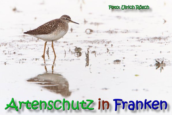 Bild zum Eintrag (1146002-160)