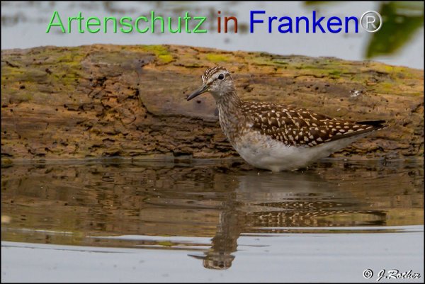Bild zum Eintrag (1146004-160)