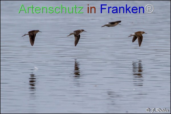 Bild zum Eintrag (1146008-160)