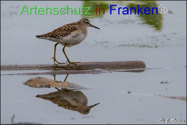 Bild zum Eintrag (1146009-160)