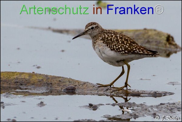 Bild zum Eintrag (1146010-160)