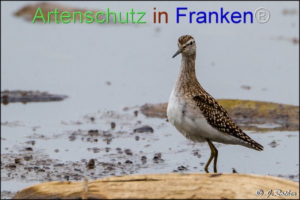 Bild zum Eintrag (1146011-160)