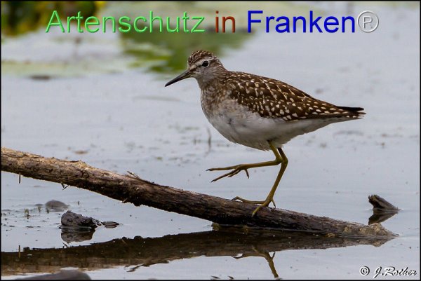 Bild zum Eintrag (1146012-160)