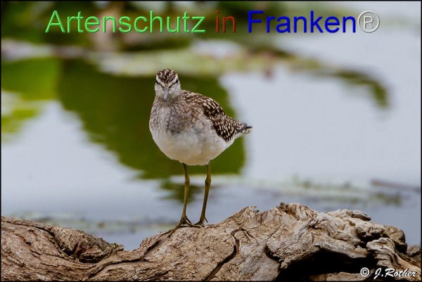 Bild zum Eintrag (1146014-160)