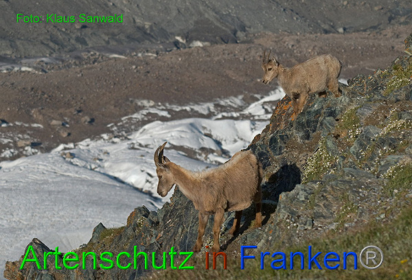 Bild zum Eintrag (1146077-160)