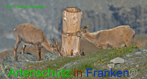 Bild zum Eintrag (1146078-160)