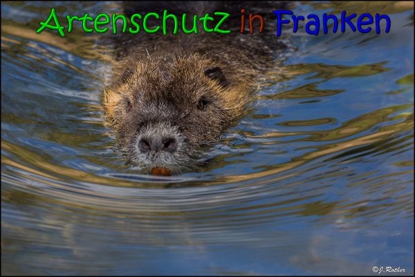 Bild zum Eintrag (1146347-160)
