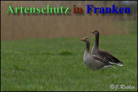Bild zum Eintrag (1146587-160)