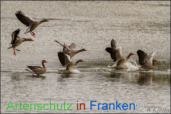 Bild zum Eintrag (1146602-160)