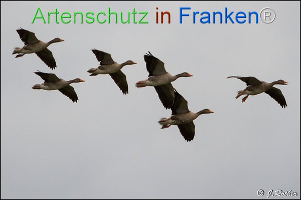 Bild zum Eintrag (1146609-160)