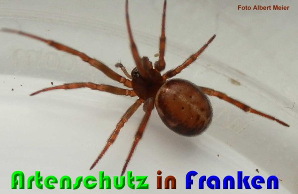 Bild zum Eintrag (1146901-160)